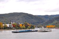 MSM 2023-10-25_DSC3610 &copy; ekappen_-Schlepp nach Mannh (oberhalb Boppard)-1